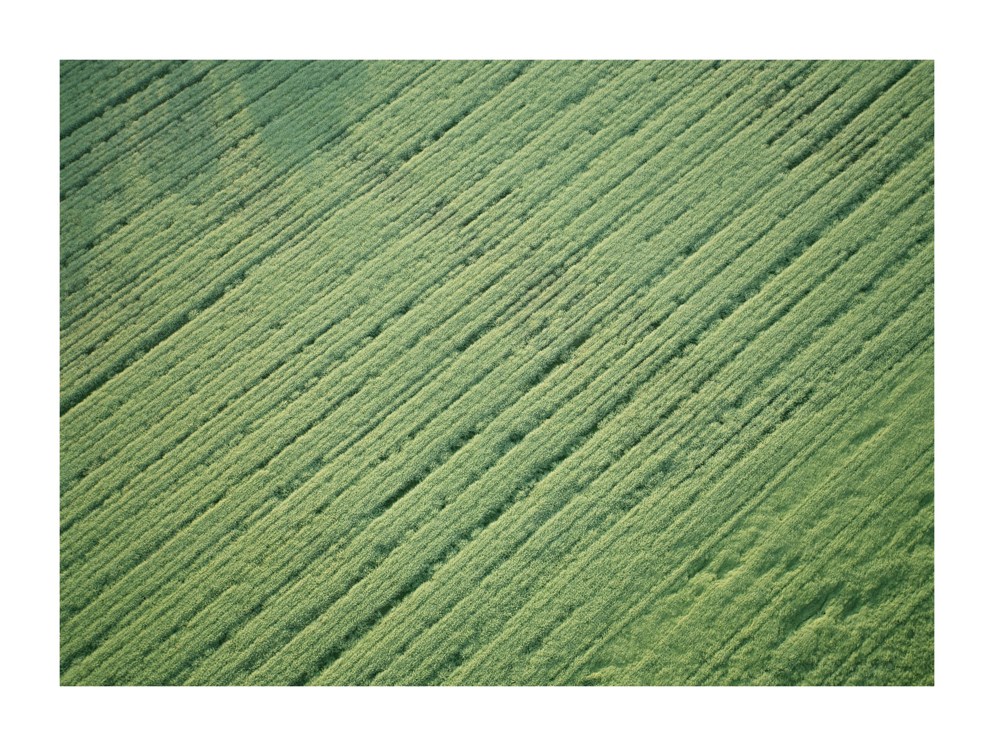 michael-kempf-fotografie-mak_01168_art_40x30