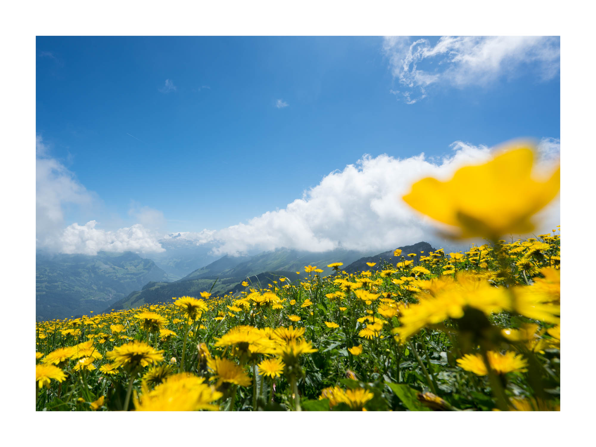 michael-kempf-fotografie-mak_04121_art_40x30